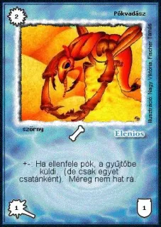 Pókvadász