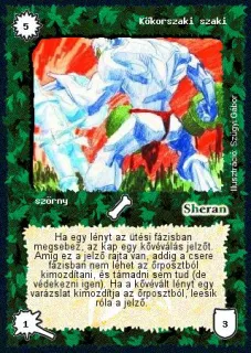 Kőkorszaki szaki