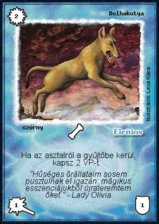 Bolhakutya