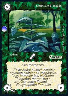 Kputtyintó csalán