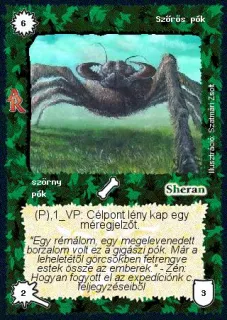 Szőrös pók