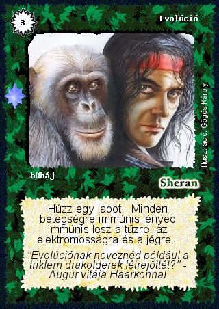 Evolúció