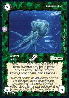 Bölcsőpolip