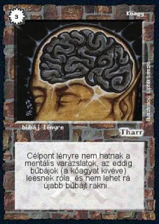 Kőagy