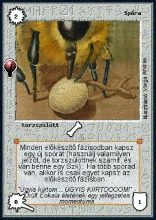 Spóra