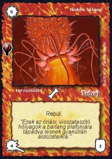 Tüskés hólyag
