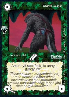 Szürke lajhár