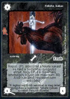 Fekete kakas