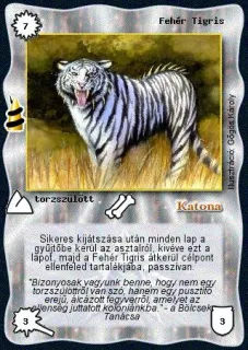 Fehér Tigris