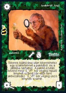 Szakértő Szyl