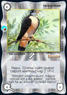 Varázssólyom