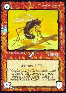 Szójer lárva