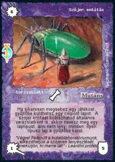 Szójer entitás
