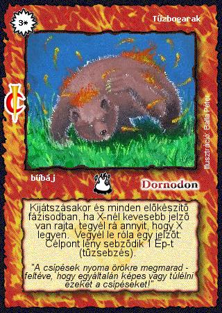 Tűzbogarak