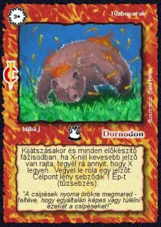 Tűzbogarak