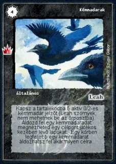 Kémmadarak