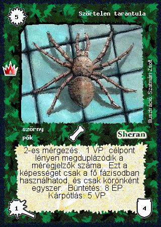 Szőrtelen tarantula