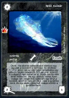 Opál Kalmár