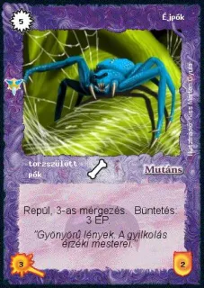 Éjpók