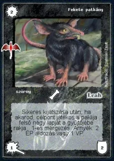 Fekete patkány