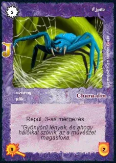 Éjpók (junior)