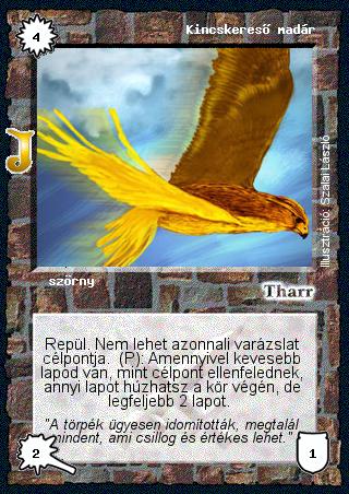 Kincskereső madár (junior)
