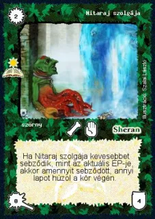 Nitaraj szolgája