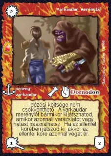 Varkaudar merénylő