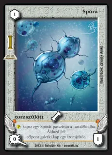 Spóra (új)