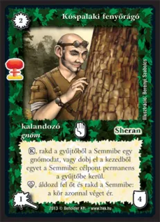Kóspalaki fenyőrágó