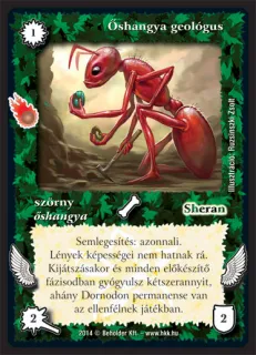 Őshangya geológus