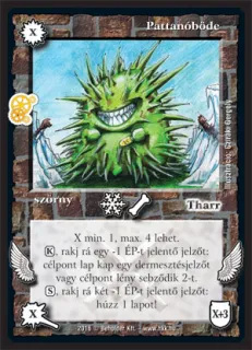 Pattanóböde (új)