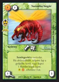 Surusha bogár (új)