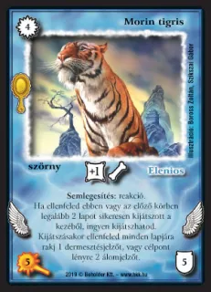 Morin tigris (2019)