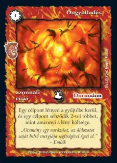 Öngyulladás (2025)