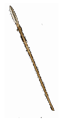 Arioc's Needle
