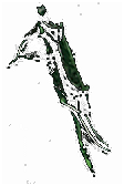 Gut Siphon