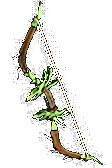 Stormstrike