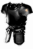 Arcanna's Flesh