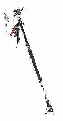 Arcanna's Deathwand